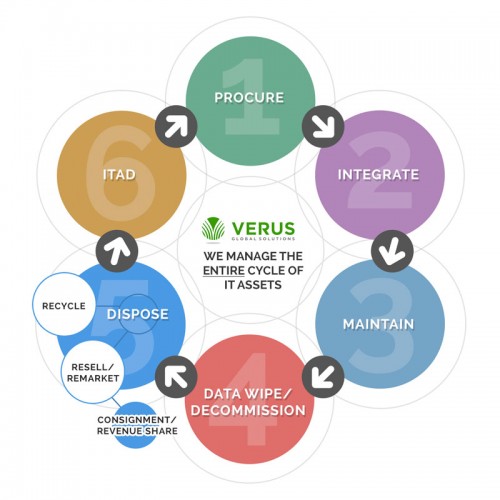 life-cycle